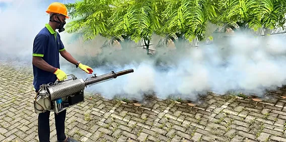 A pest control technician operating a thermal fogger that releases a cloud of mist across a paved outdoor courtyard.