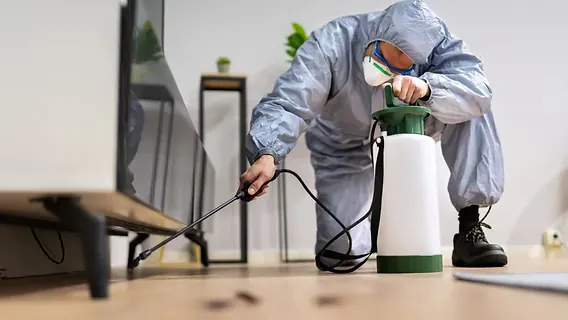 A pest control technician in protective coveralls and a respirator using a handheld sprayer along the baseboard of an interior floor.