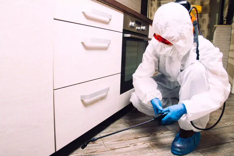 A pest control technician in white protective coveralls and goggles applying a treatment with a sprayer beneath a kitchen cabinet.