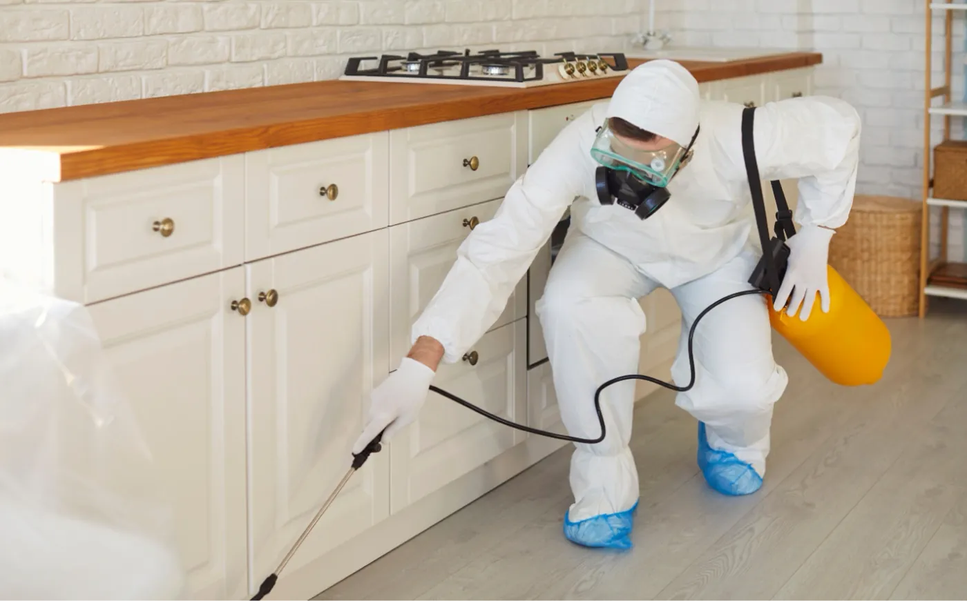 A pest control technician using a tank sprayer to treat beneath a kitchen counter in Minnesota.