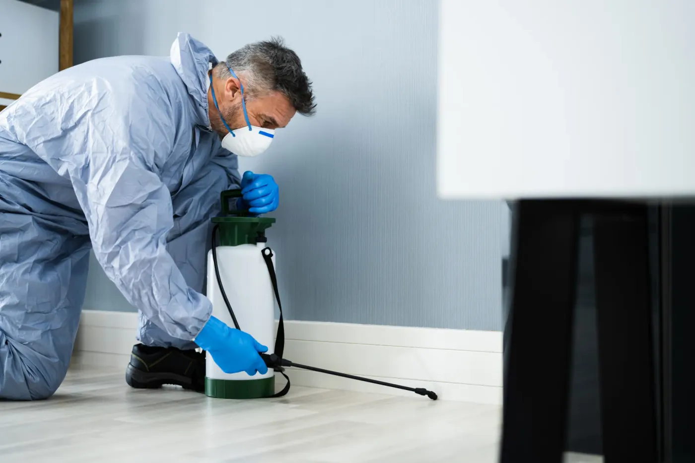 A pest control technician treating an interior baseboard with a sprayer in Michigan.